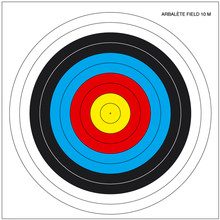 Crossbow target