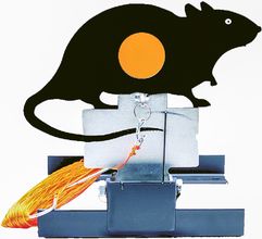 Cible dynamique rat - GAMO