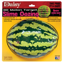Target Daisy Melon 3D