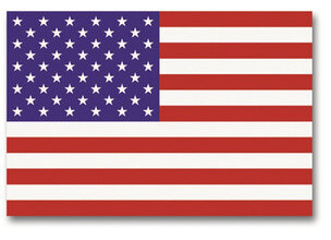 Flag of the USA