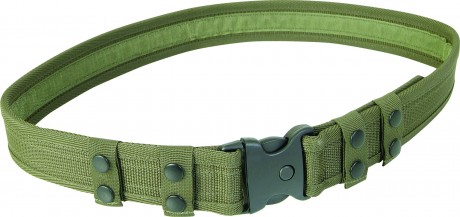 Photo A60959 Viper Security Belt