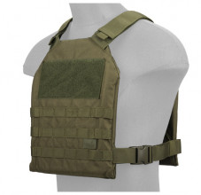 Standard Issue Plate Carrier 1000D OD green