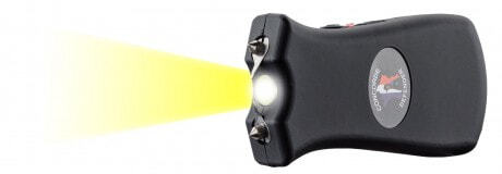 AD730-7 Electrochoc / Lampe rechargeable - Concorde Defender Photo AD730-7 Electrochoc / Lampe rechargeable - Concorde Defender