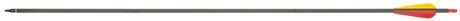 AJ4536-2-FLECHES CARBONE 32'' SPIN 340 Photo AJ4536-2-FLECHES CARBONE 32'' SPIN 340