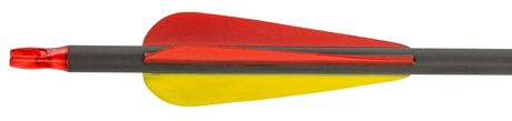 AJ4536-3-FLECHES CARBONE 32'' SPIN 340 Photo AJ4536-3-FLECHES CARBONE 32'' SPIN 340