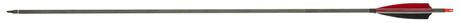 AJ4537-2-FLECHES CARBONE 32'' SPIN 340 - Plumes Photo AJ4537-2-FLECHES CARBONE 32'' SPIN 340 - Plumes