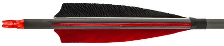 AJ4537-3-FLECHES CARBONE 32'' SPIN 340 - Plumes Photo AJ4537-3-FLECHES CARBONE 32'' SPIN 340 - Plumes
