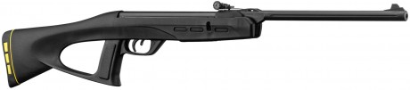 Carabine Gamo junior Delta Fox GT Ring jaune Cal ...