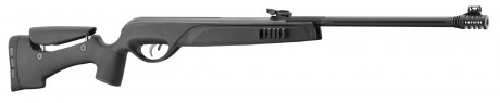 Photo CA1461-1 Carabine GAMO Tactical Storm + 4x32 WR