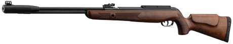Carabine Gamo CFX Royal à canon fixe Cal. 4.5 mm