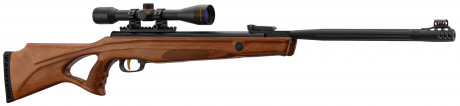 Carabine à air comprimé Beeman modèle 10620 4.5mm 