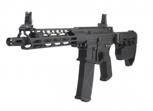 LE2021-1 Réplique AEG ARCTURUS X CAT AR-15 VERSATILE 10' Photo LE2021-1 Réplique AEG ARCTURUS X CAT AR-15 VERSATILE 10'