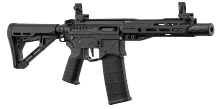 Photo LE9055-01.jpg Réplique AEG R15 MK2 Zion Arms Nebula II 8''