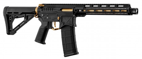 LK9129-01 Réplique R15 mod 1 Zion Arms noire et or garde main long Photo LK9129-01 Réplique R15 mod 1 Zion Arms noire et or garde main long