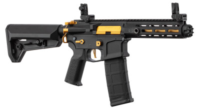 NLK9105-01.jpg Réplique AEG LT-32 Hellion Noir/Gold pack complet Photo NLK9105-01.jpg Réplique AEG LT-32 Hellion Noir/Gold pack complet