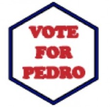 Patch Sentinel Gear VOTE FOR PEDRO