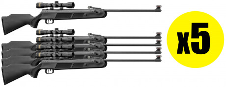 Beeman Wolverine RS1 air rifle pack cal. 4.5mm (x5)